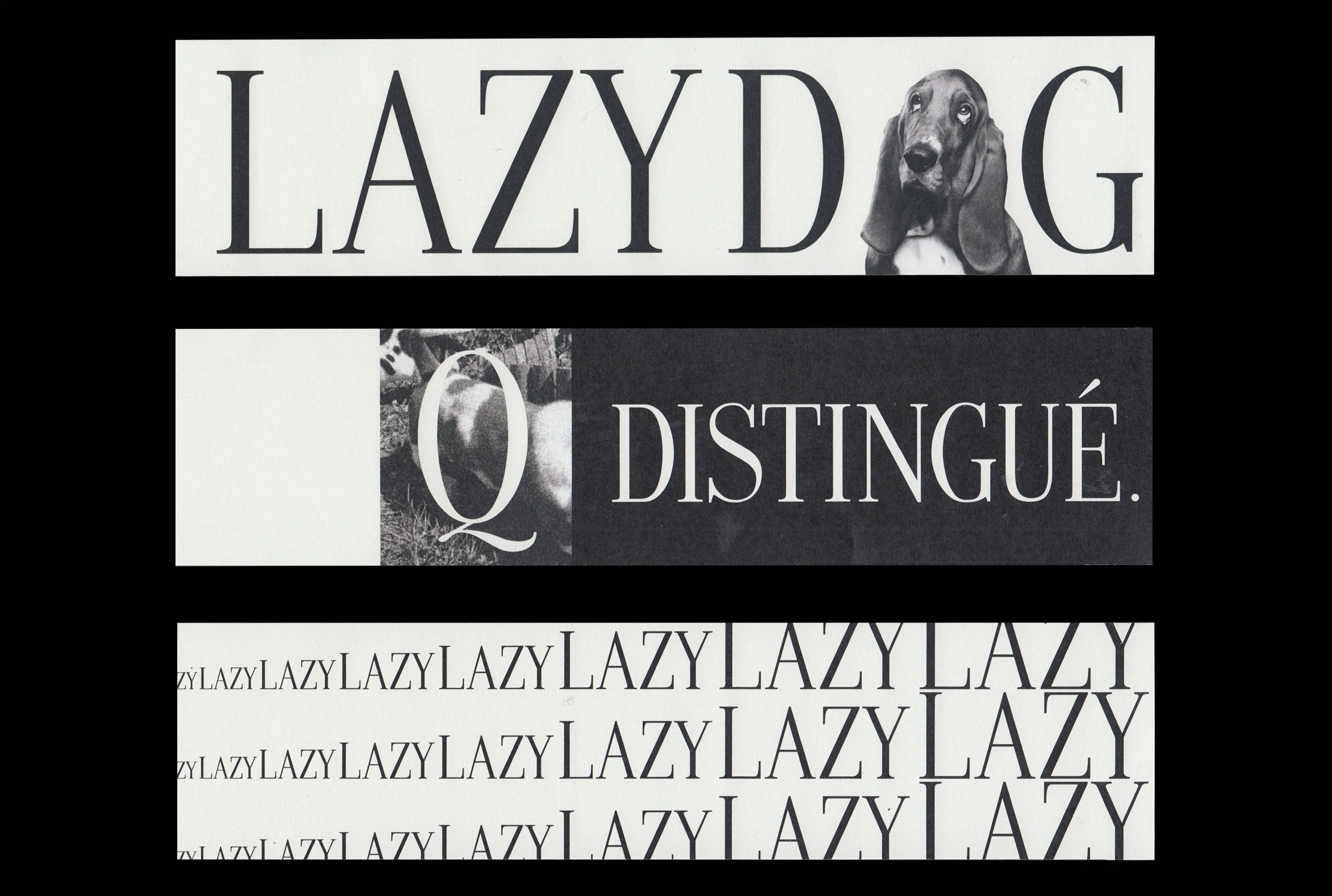 Specimen Lazy Dog Typeface